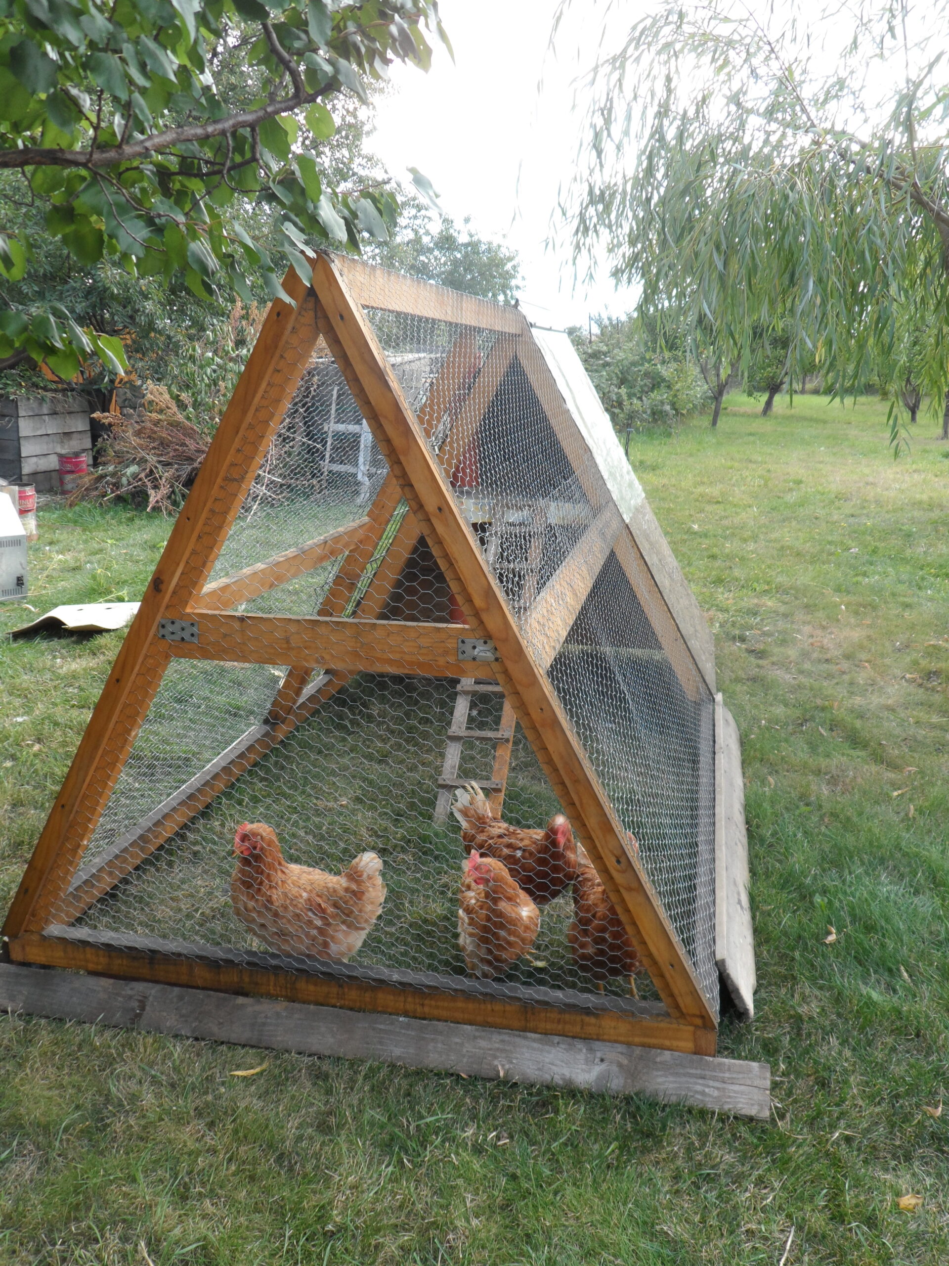 Cabana și curtea lui Dan
