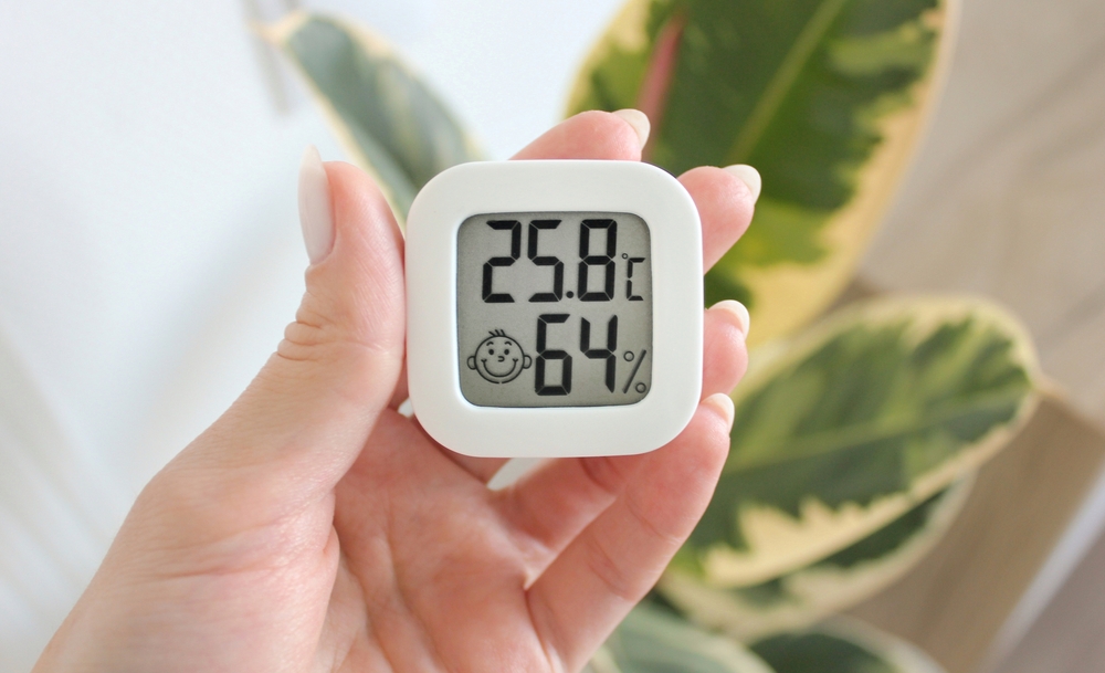 Îngrijirea plantelor iarna temperatură