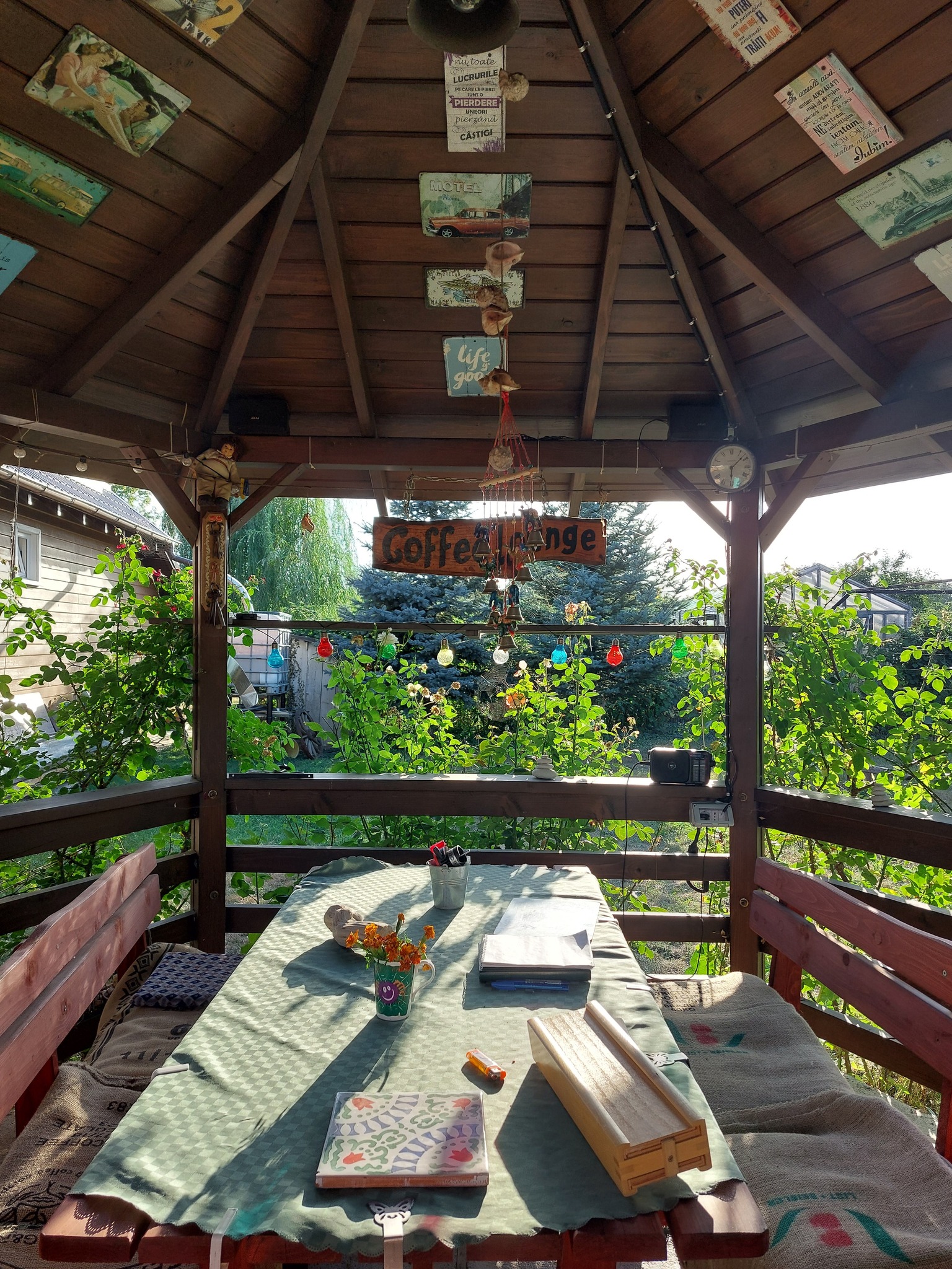 Cabana și curtea lui Dan