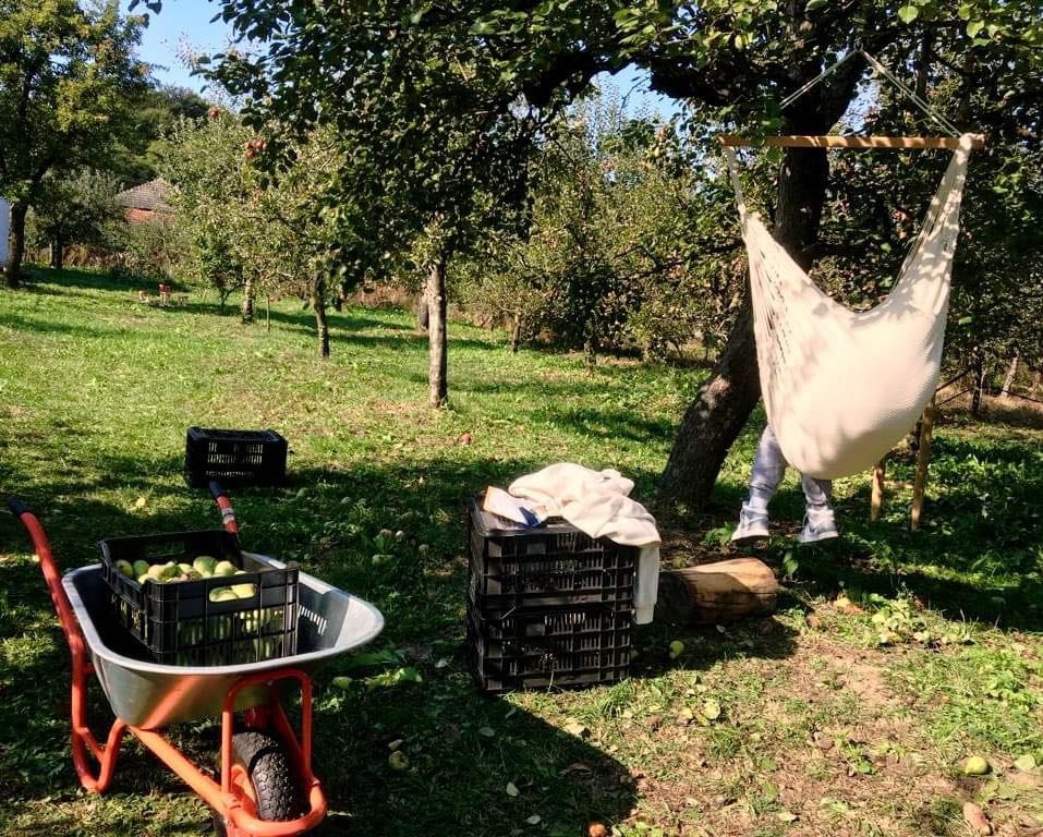 Casa de vacanță a devenit refugiul de weekend al familiei