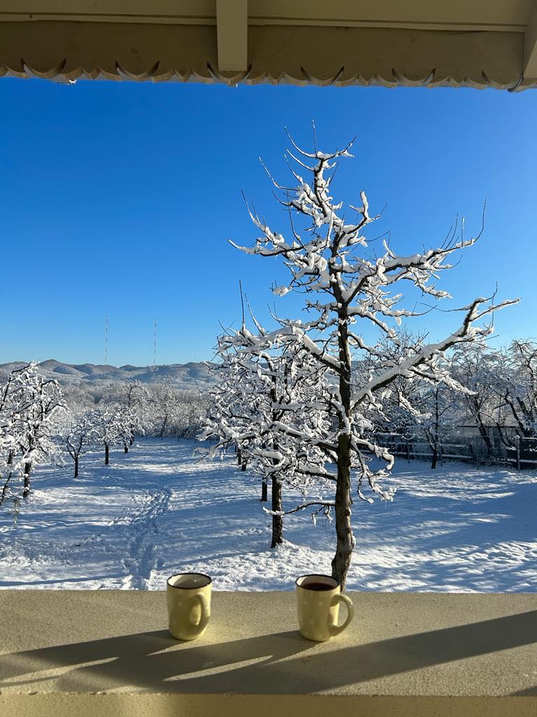 Casa de vacanță a devenit refugiul de weekend al familiei