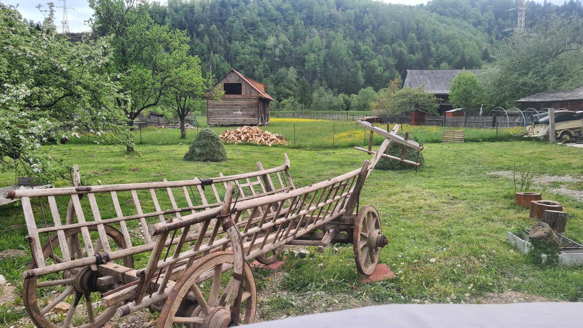 Attila și fiica lui s-au mutat la țară în pandemie