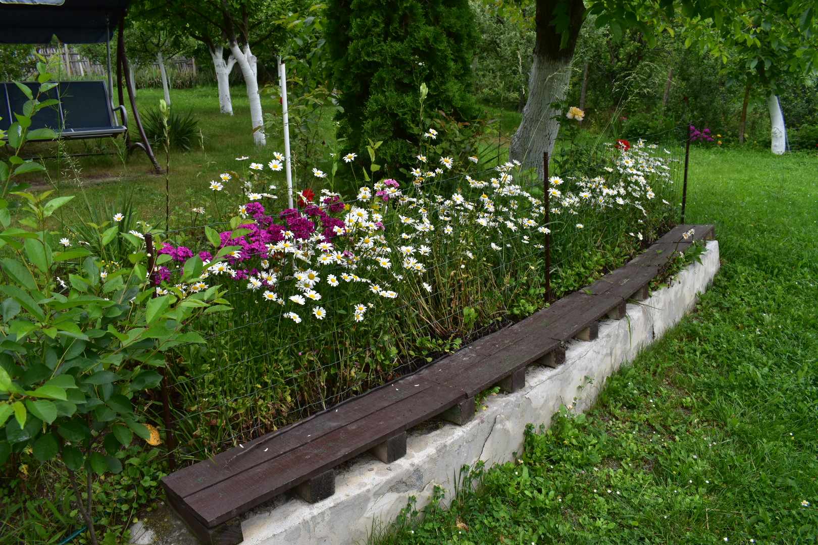 Proprietarii au o locuință înconjurată de verdeață și flori