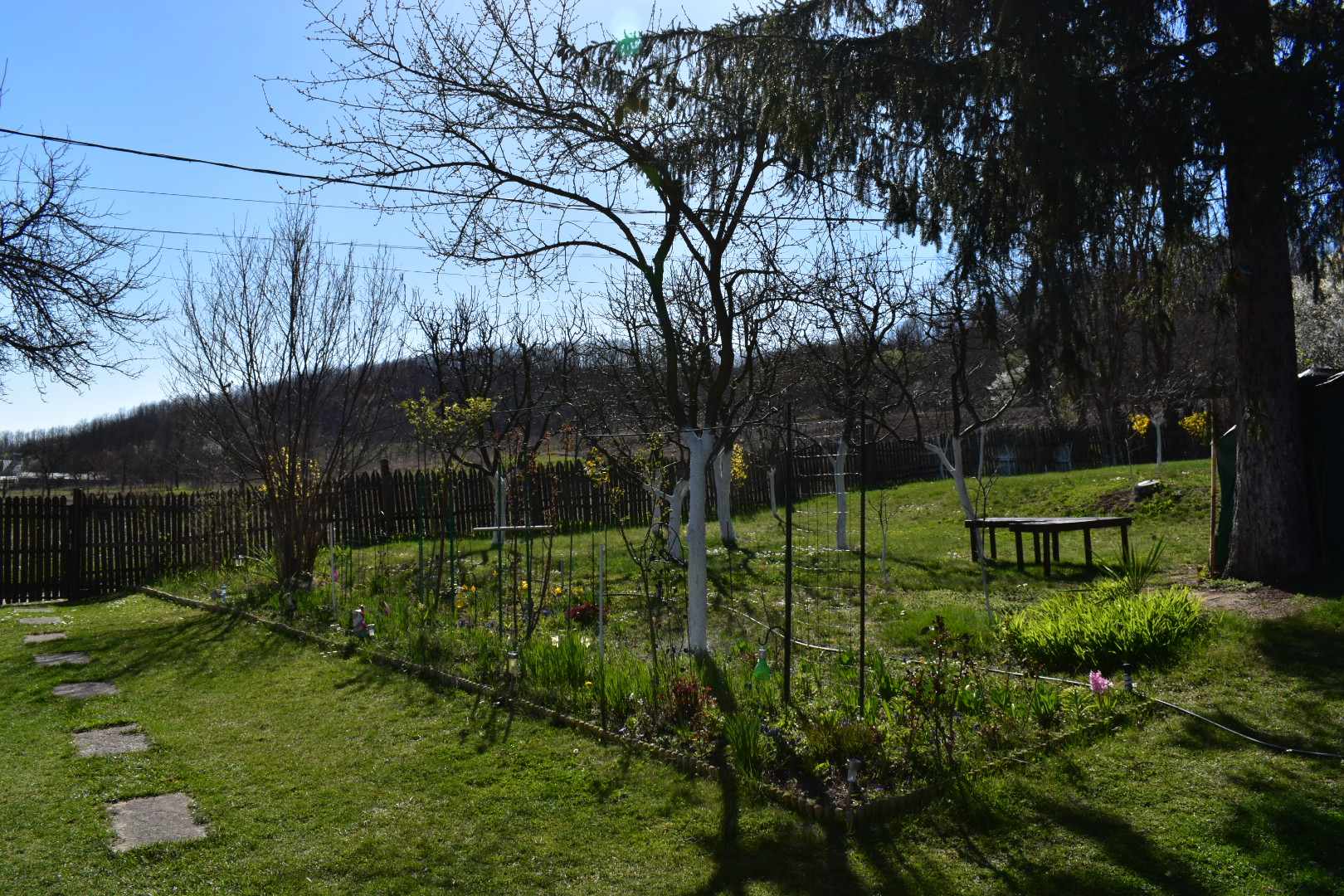 Viața lor a căpătat sens și bucurie odată cu locuința de la țară