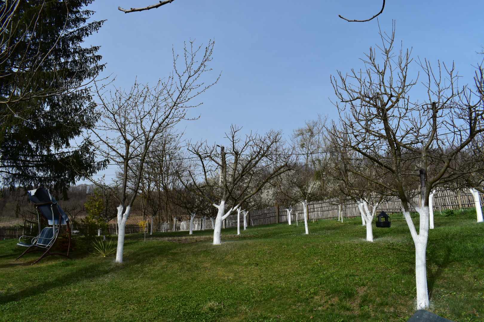 Viața lor a căpătat sens și bucurie odată cu locuința de la țară