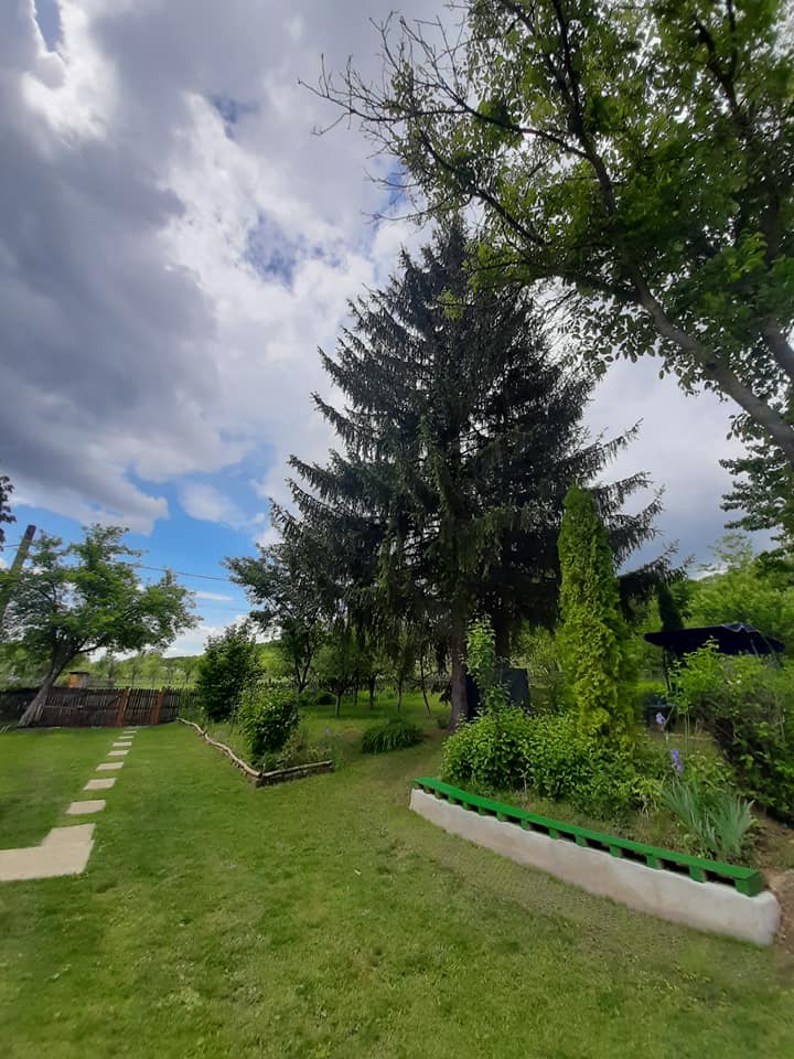 Viața lor a căpătat sens și bucurie odată cu locuința de la țară