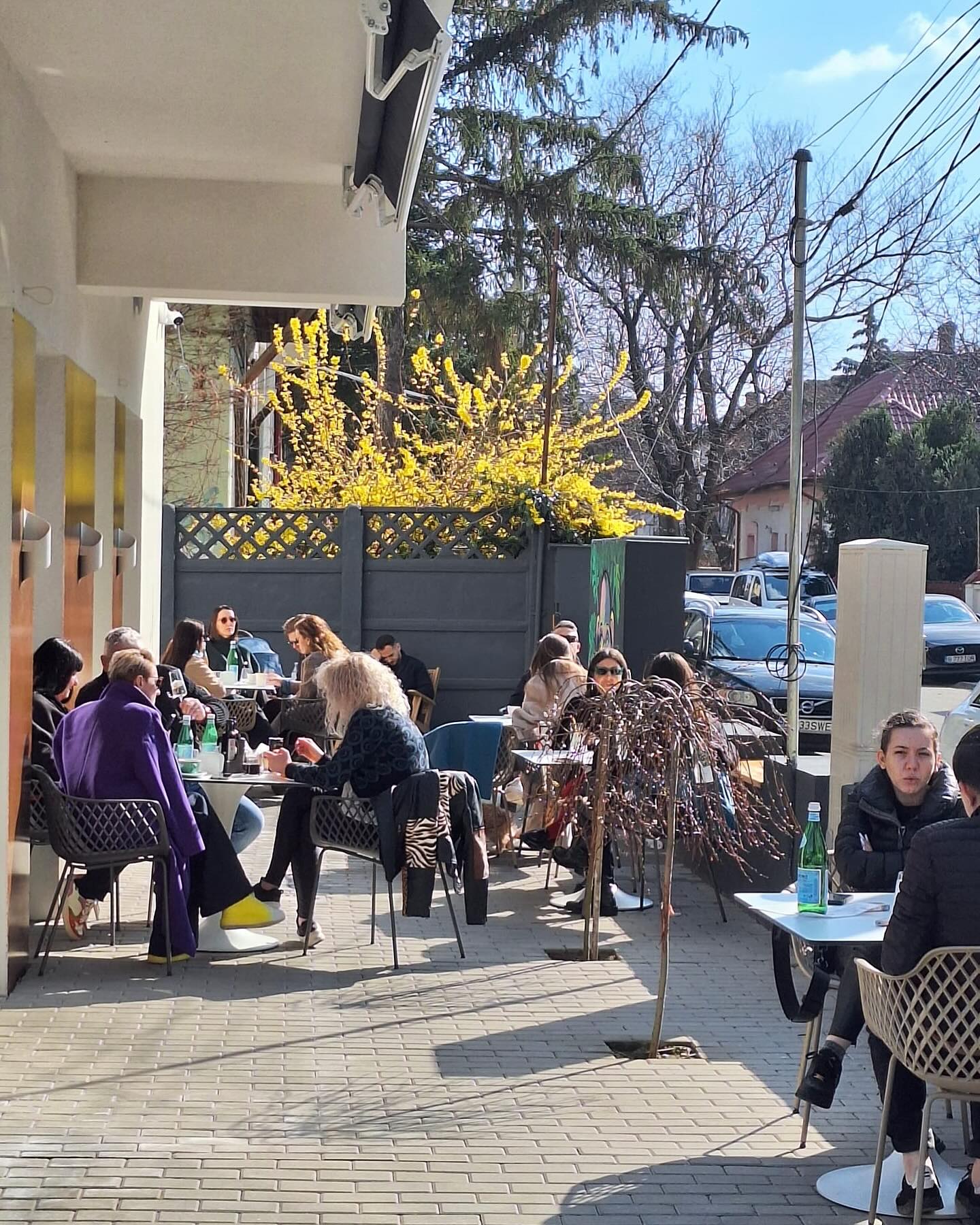 Papsh Café ️