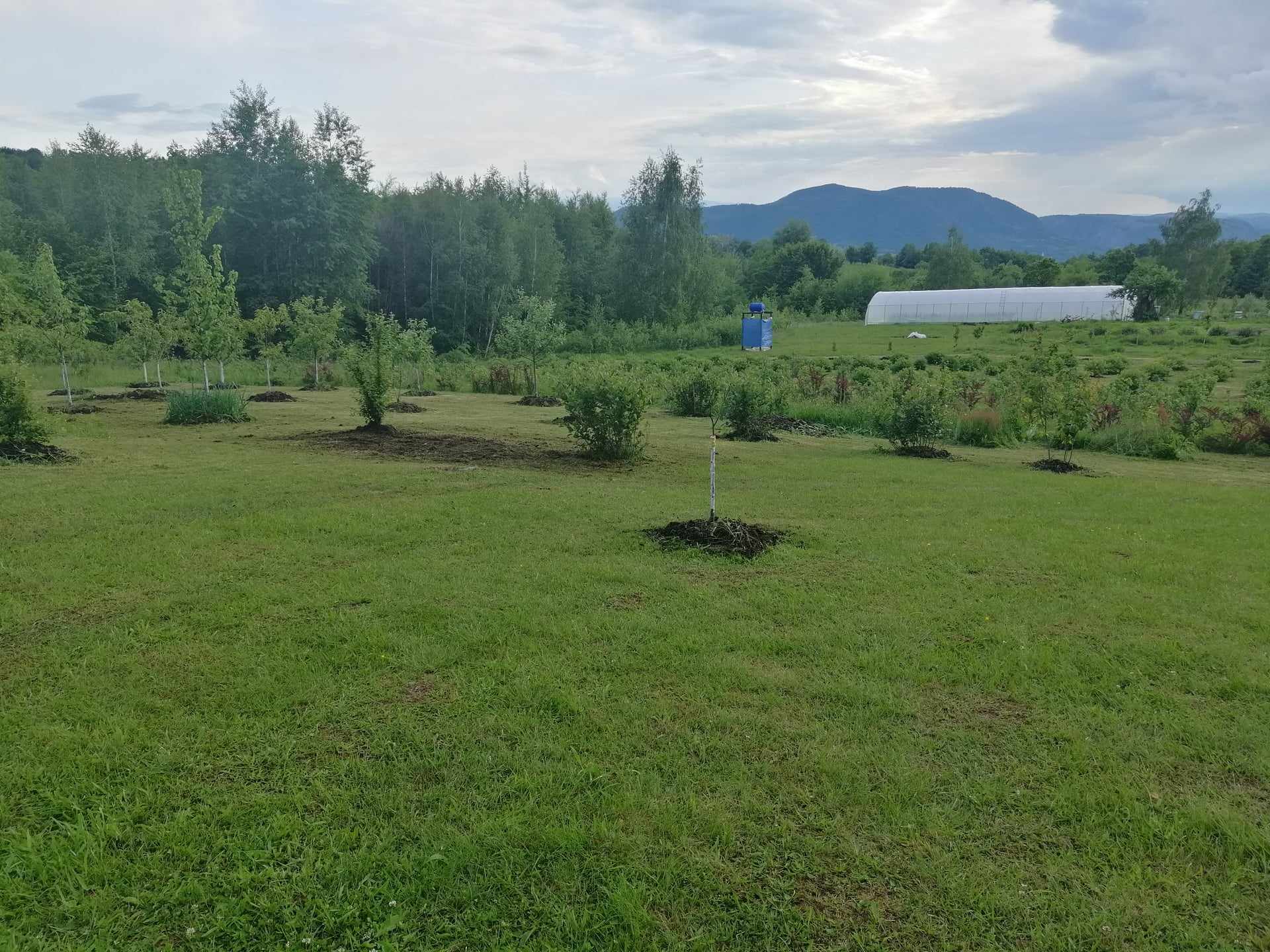 Răzvan și familia au început munca la noua casă în 2022