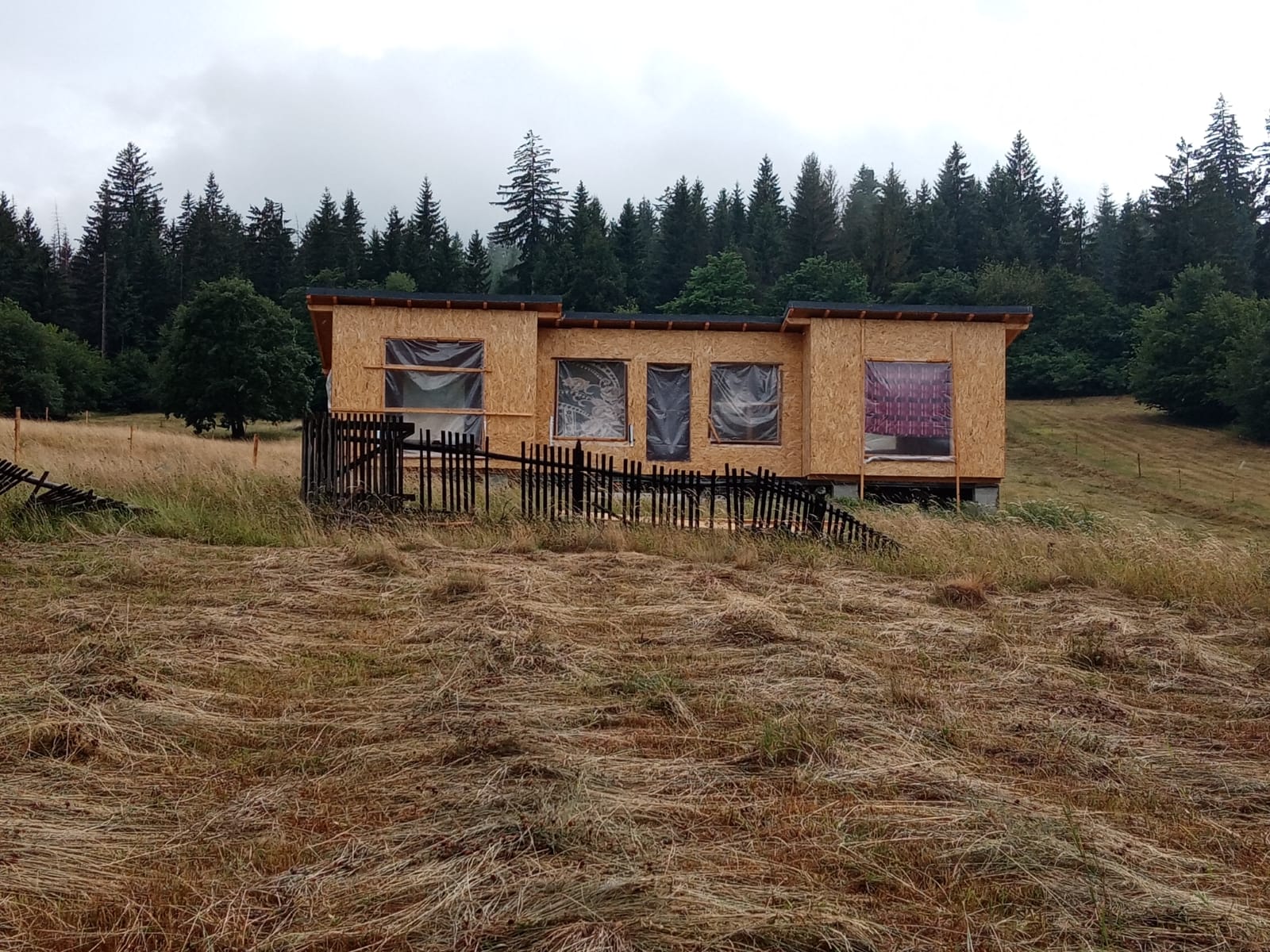 Proprietara a construit de la zero un tiny cozy, pe roți