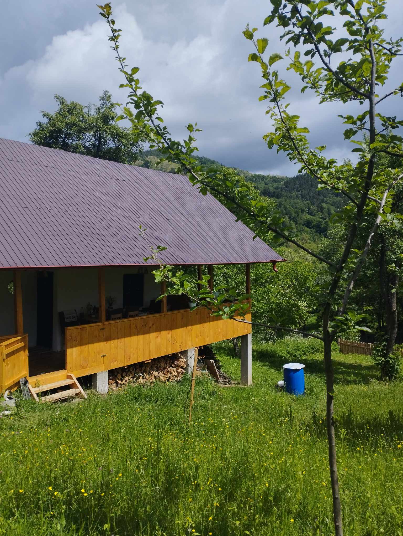 Deși cumpărată cu ani buni în urmă, procesul renovării a început abia în 2022