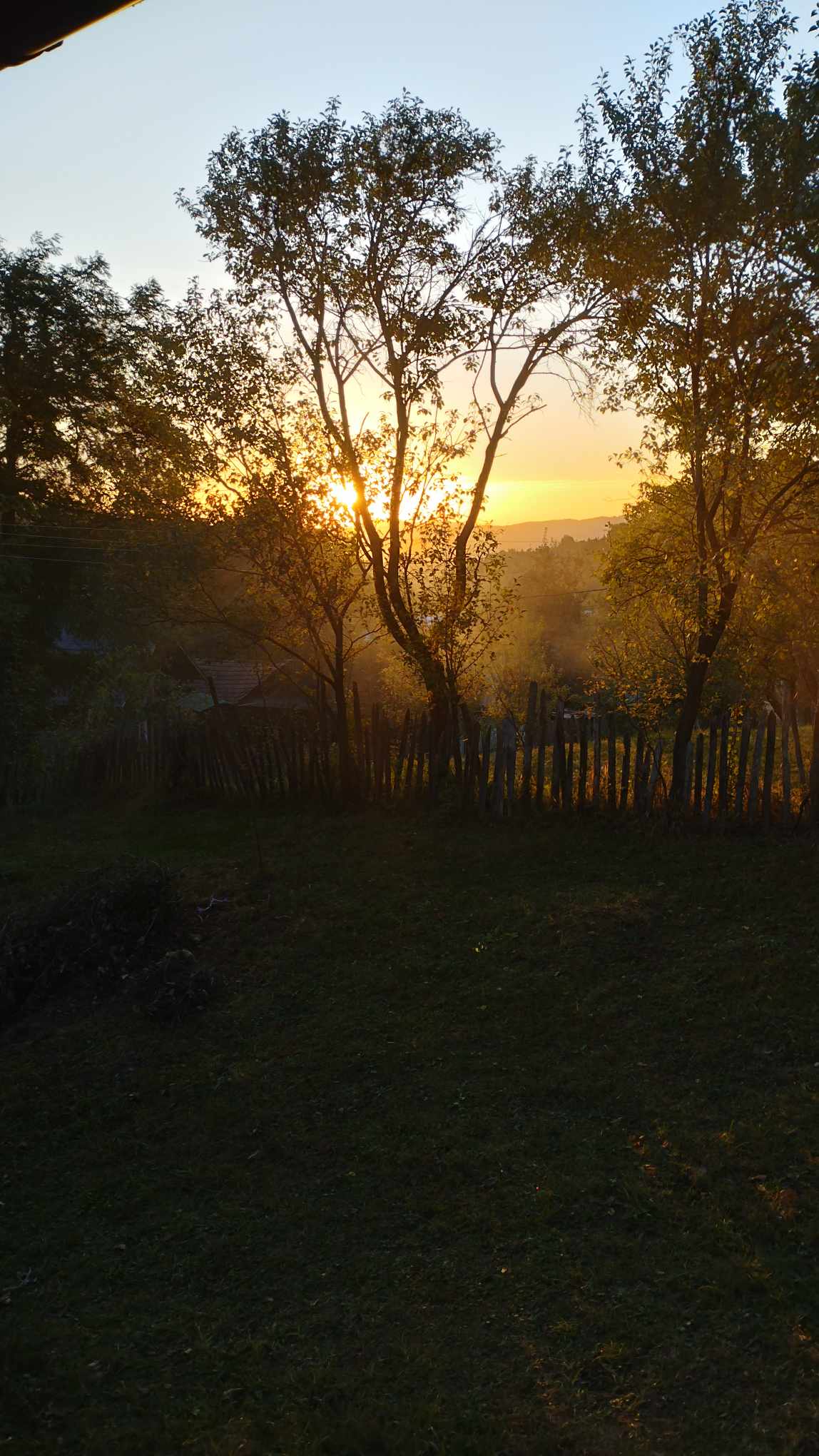 Căsuța este poziționată în mijlocul naturii