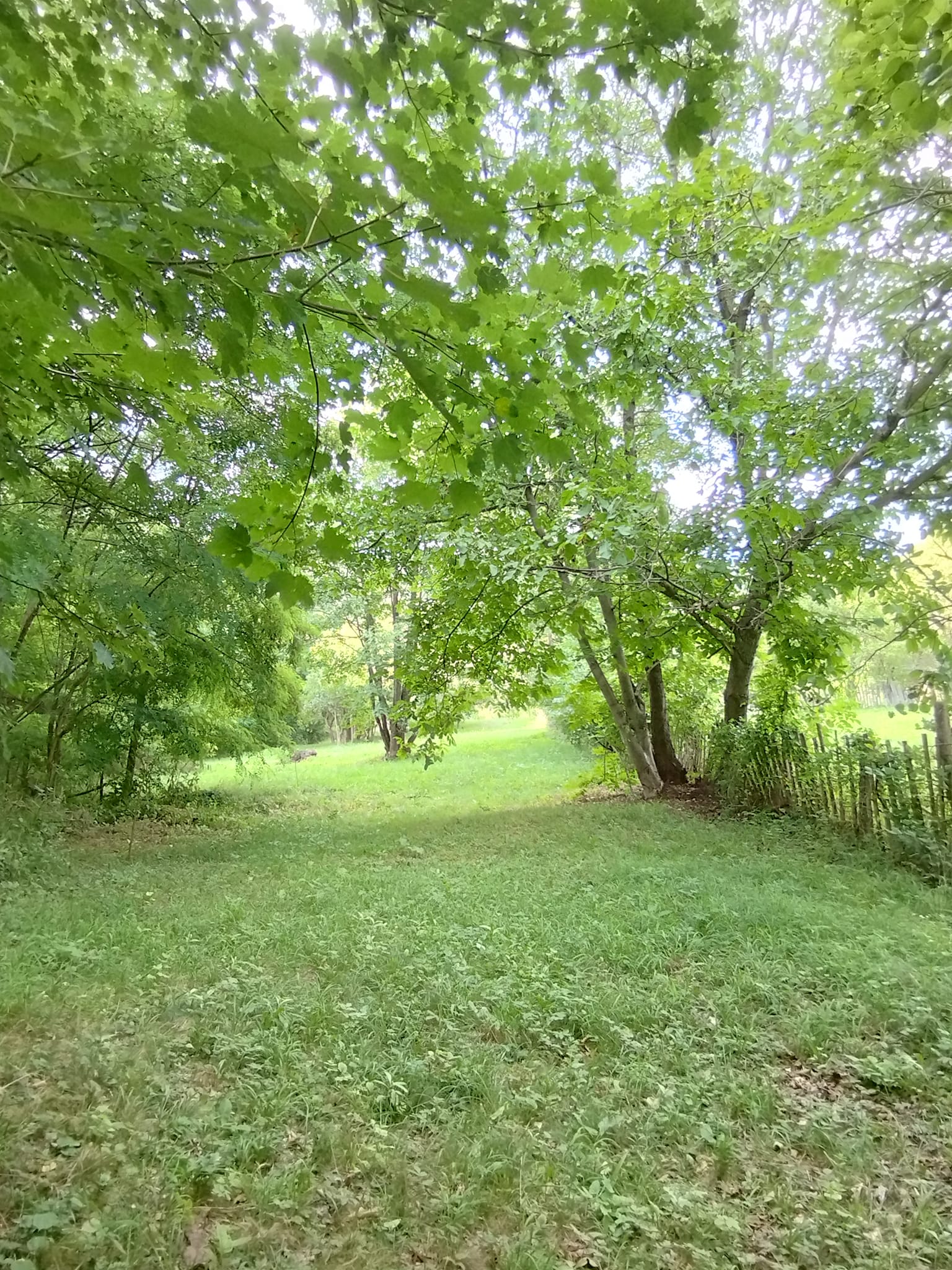 Căsuța este poziționată în mijlocul naturii