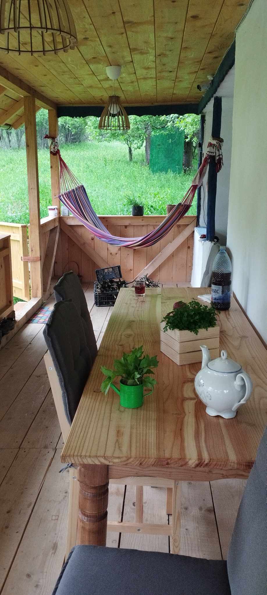 Prispa este locul preferat al Ofeliei
