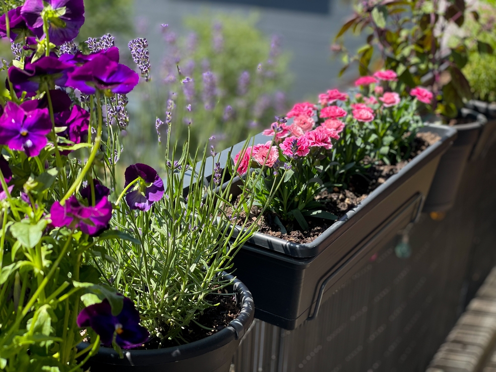gradina urbana jardiniere si ghivece pe balcon