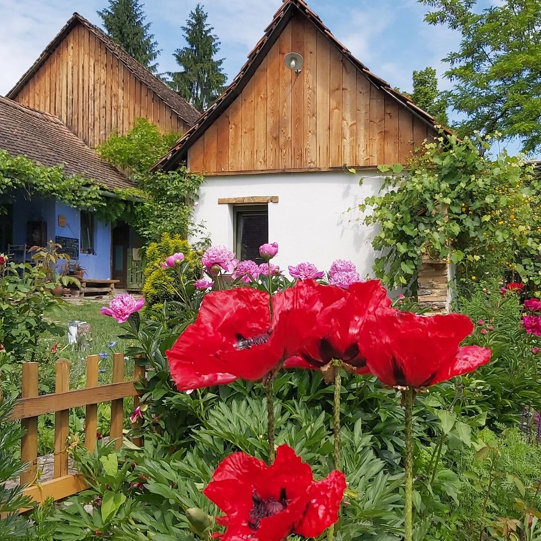 Ceainăria Tei din Saschiz