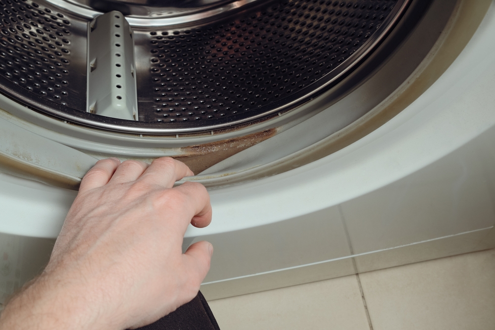 depuneri de calcar si mucegai pe garnitura masinii de spalat