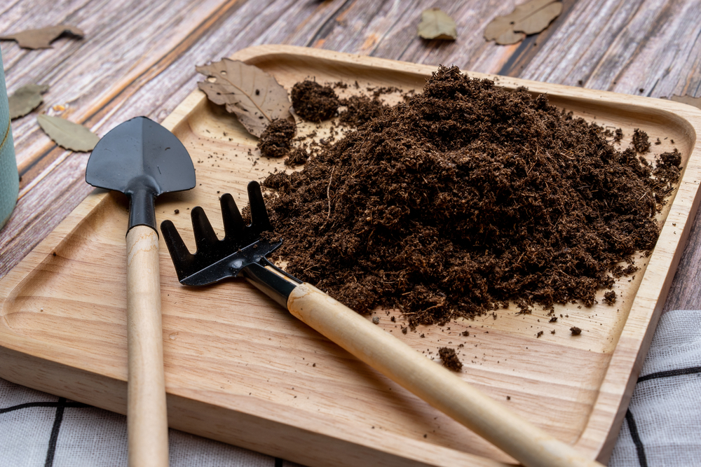 ingrasamant natural pentru flori de ghiveci