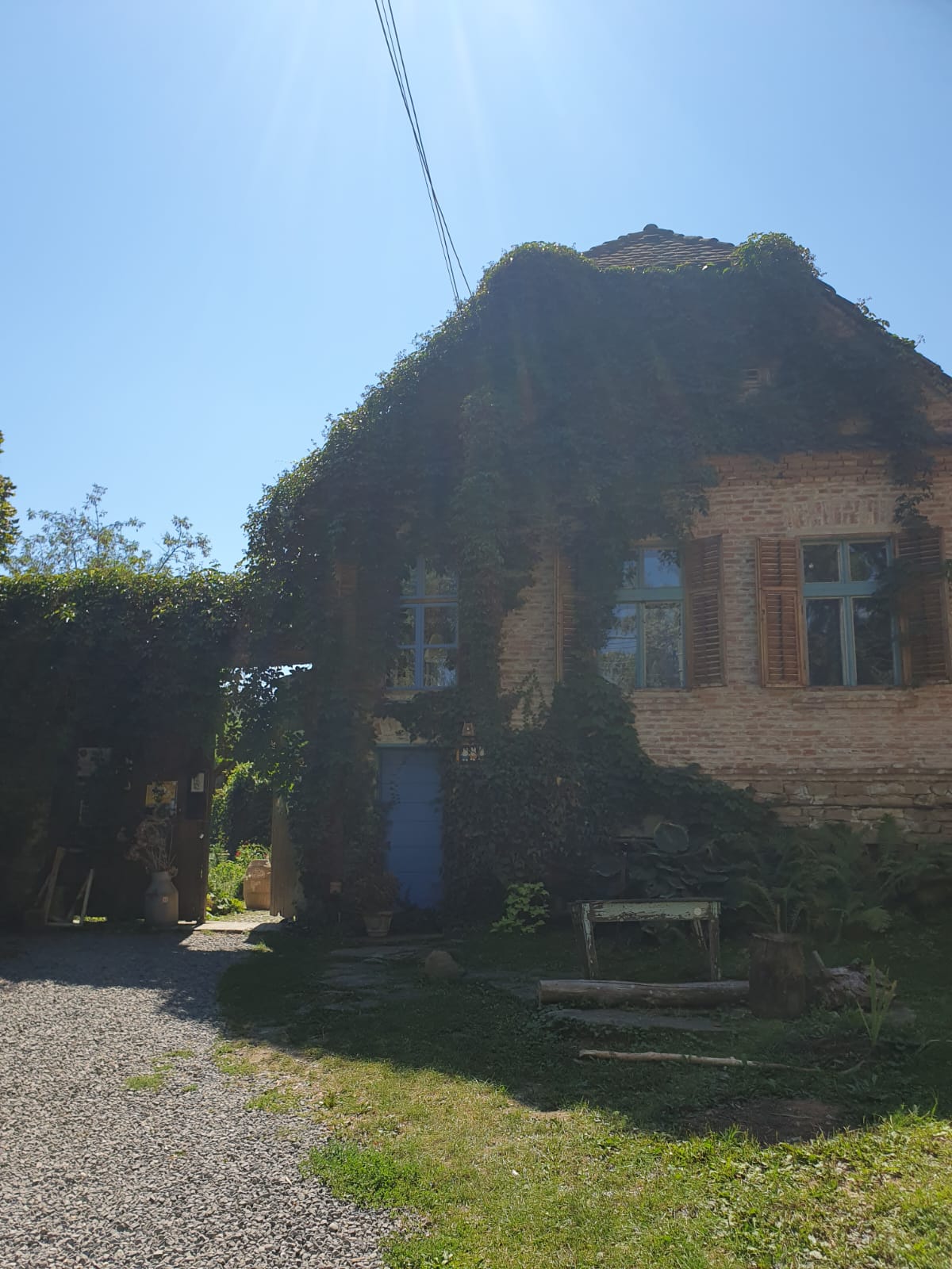 Ceainăria Tei din Saschiz
