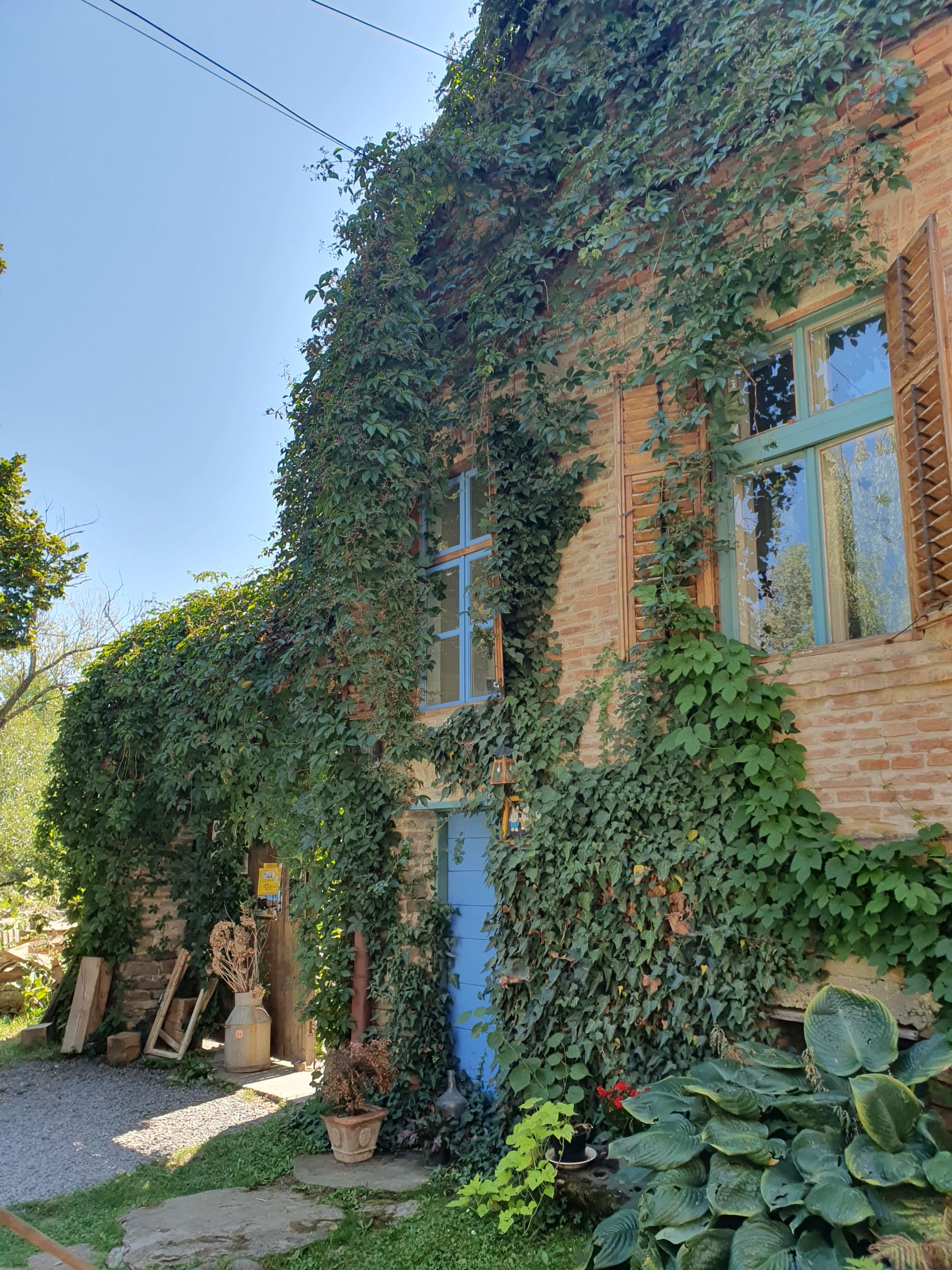 Ceainăria Tei din Saschiz