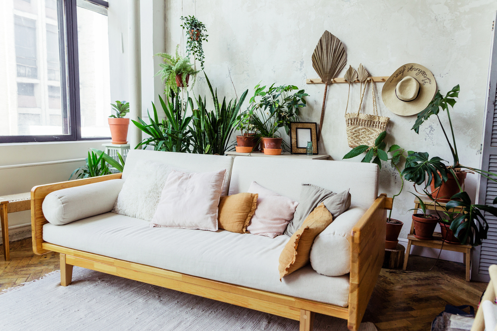 living cu canapea din lemn, iluminare natural si multe plante verzi vii pentru design biofilic