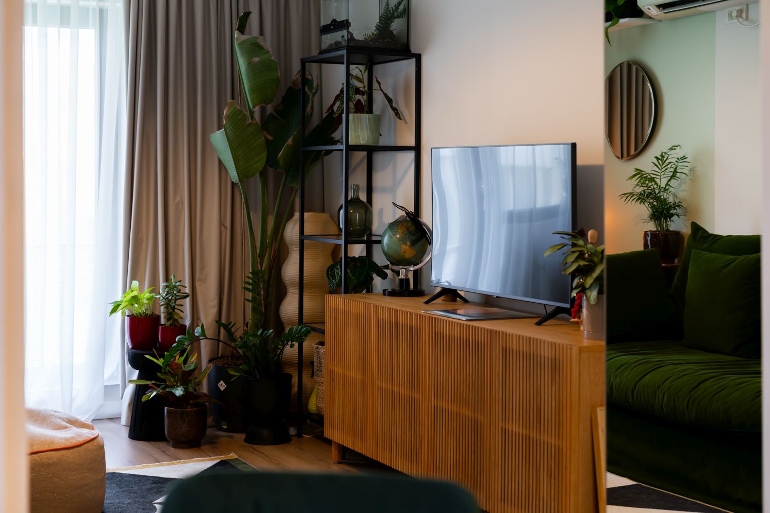 zona cu tv amenajare living plante verzi