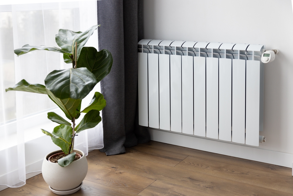 calorifer inaltime podea cu planta verde langa geam