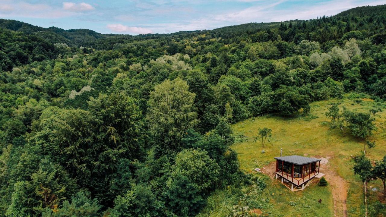 O cabană cuibărită în inima Văii Borului. Foto: booking.com