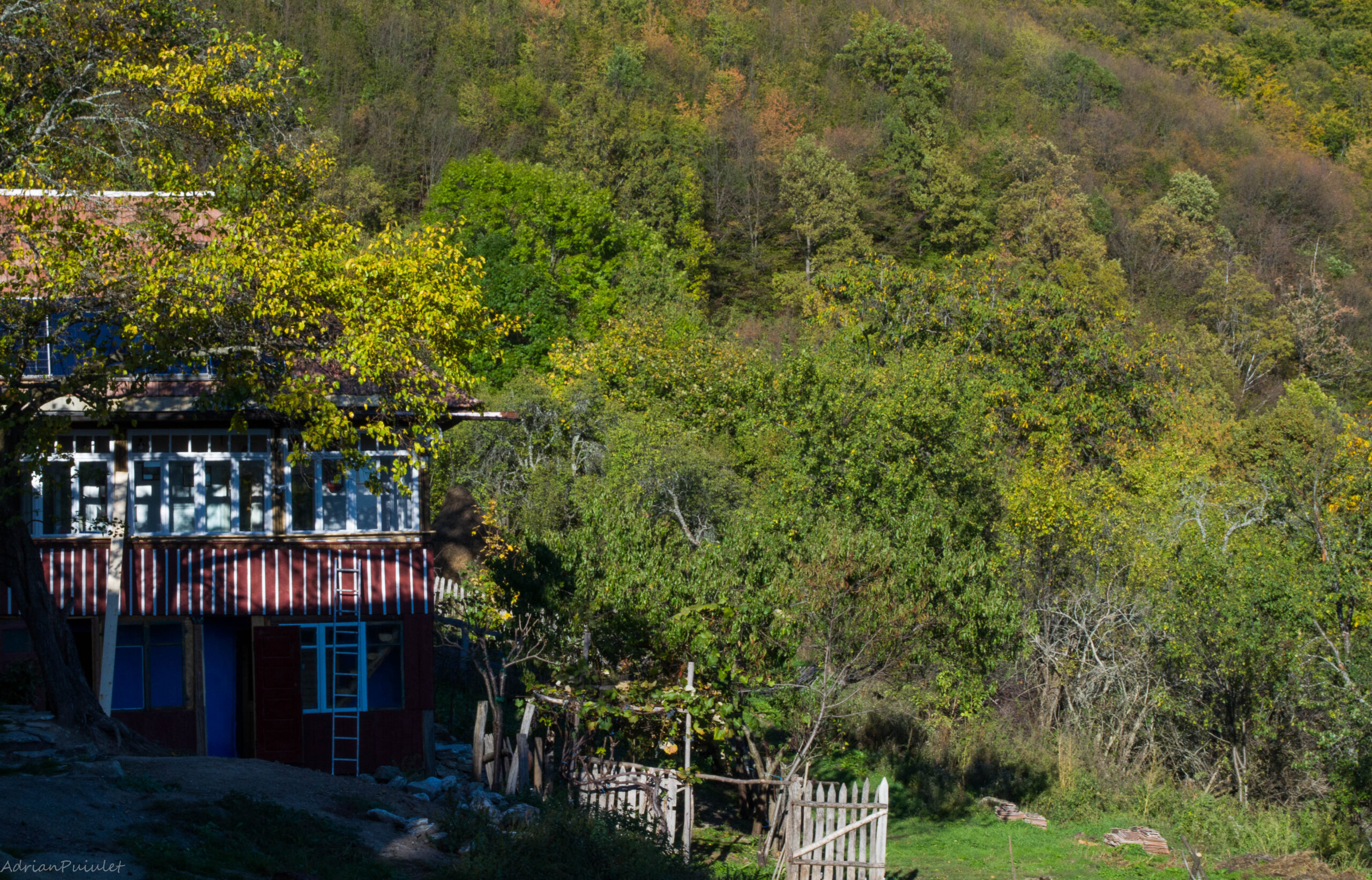 Casa Florea
