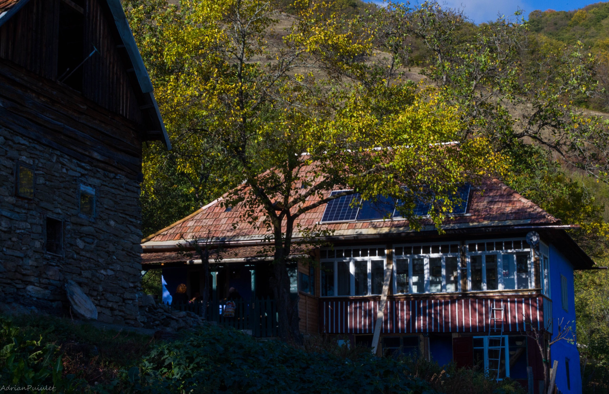 Casa Florea