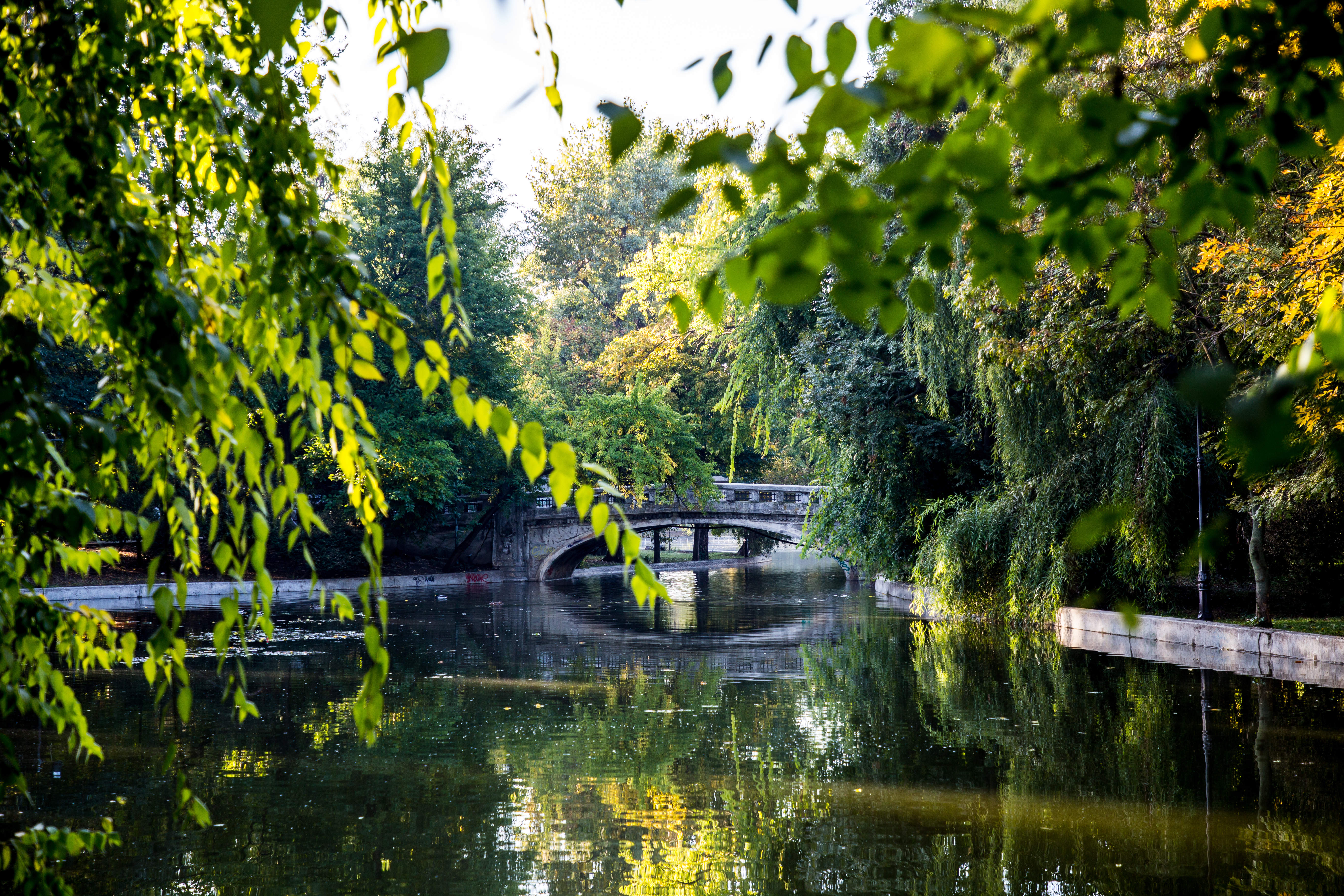 imagine din parcul cismigiu bucuresti pod peste lac copaci frunze verzi