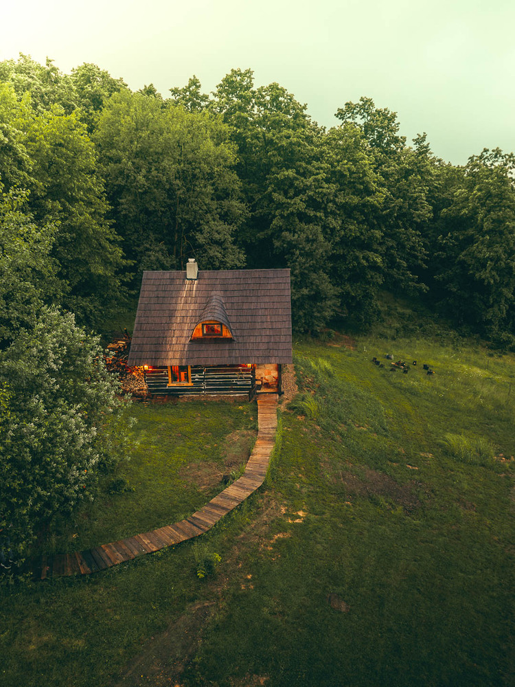 Forest Nook