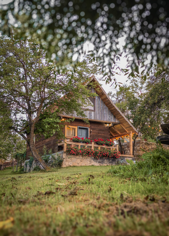 Hidden Cottage