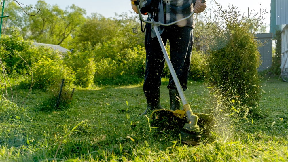 tundere gazon primavara cu trimmer de catre barbat in curte